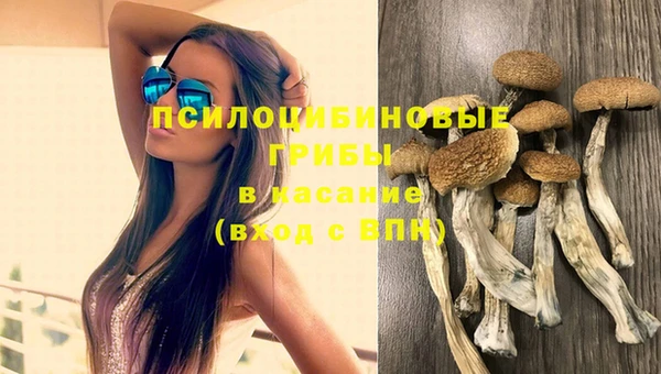 прущая мука Арсеньев