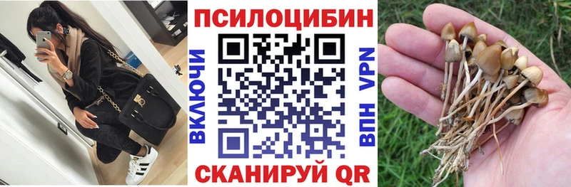 Галлюциногенные грибы прущие грибы  магазин    kraken ТОР  Глазов 